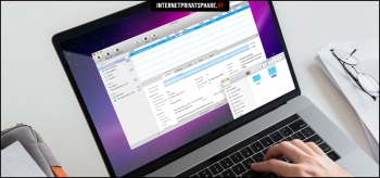 Torrent anonym downloaden in 2024: Wir zeigen, wie es geht!
